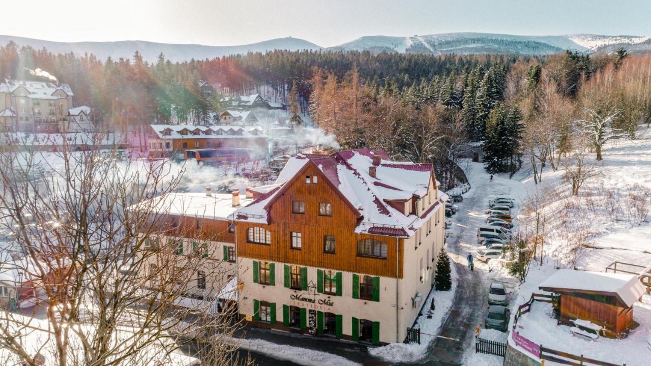 Lesny Dwor Bed & Breakfast Karpacz Exterior photo